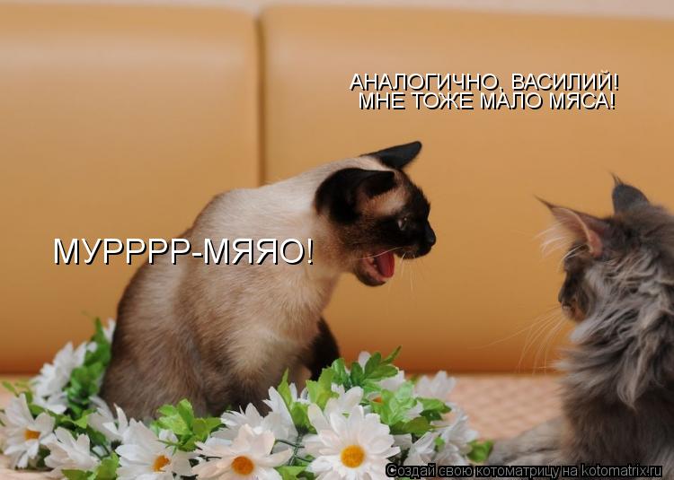 АНАЛОГИЧНО, ВАСИЛИЙ! МНЕ ТОЖЕ МАЛО МЯСА! МУРРРР-МЯЯО!... Котоматрица: АНАЛОГИЧНО, ВАСИЛИЙ! МНЕ ТОЖЕ МАЛО МЯСА! МУРРРР-МЯЯО!
