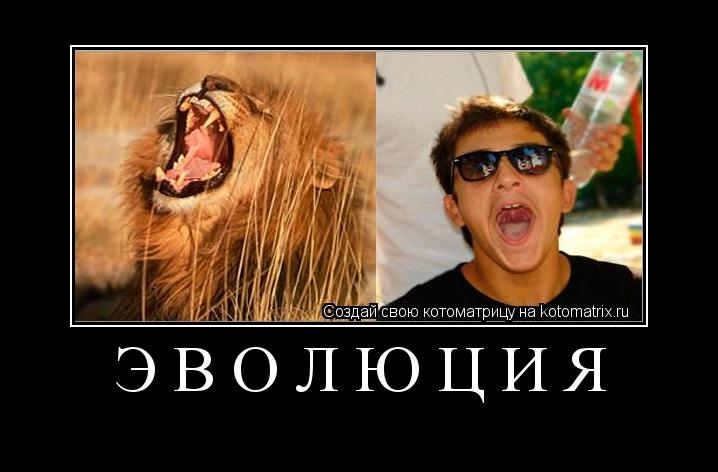 Эволюция ... Котоматрица: Эволюция