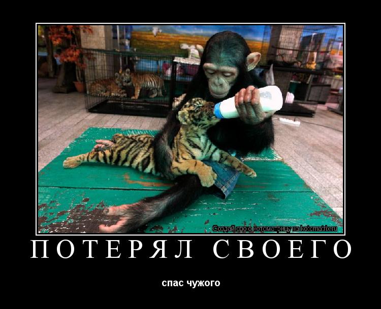Потерял своего спас чужого... Котоматрица: Потерял своего спас чужого