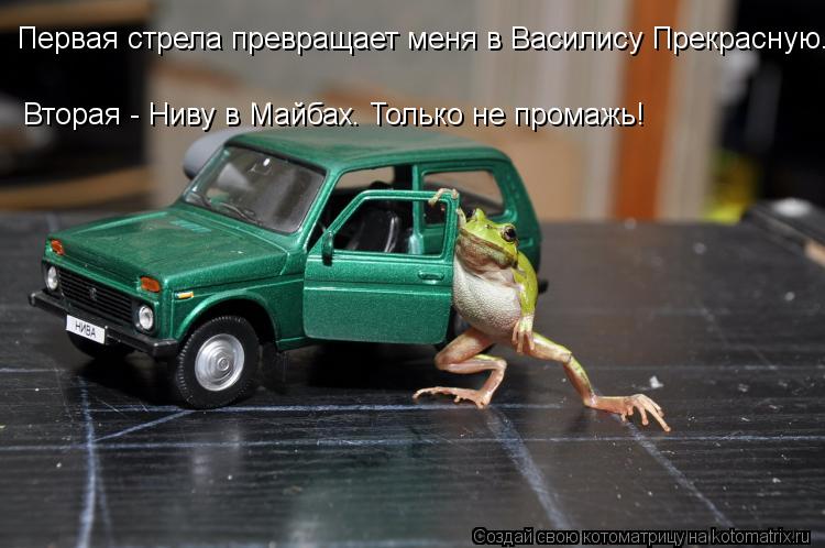Первая стрела превращает меня в Василису Прекрасную. Вторая - Ниву в Майбах. Только не промажь!... Котоматрица: Первая стрела превращает меня в Василису Прекрасную. Вторая - Ниву в Майбах. Только не промажь!