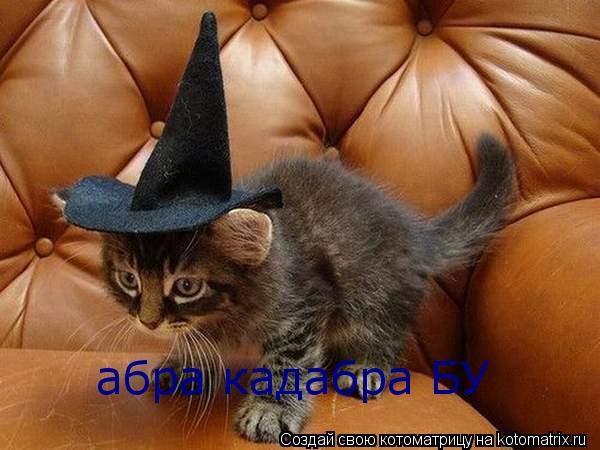 абра кадабра БУ... Котоматрица: абра кадабра БУ
