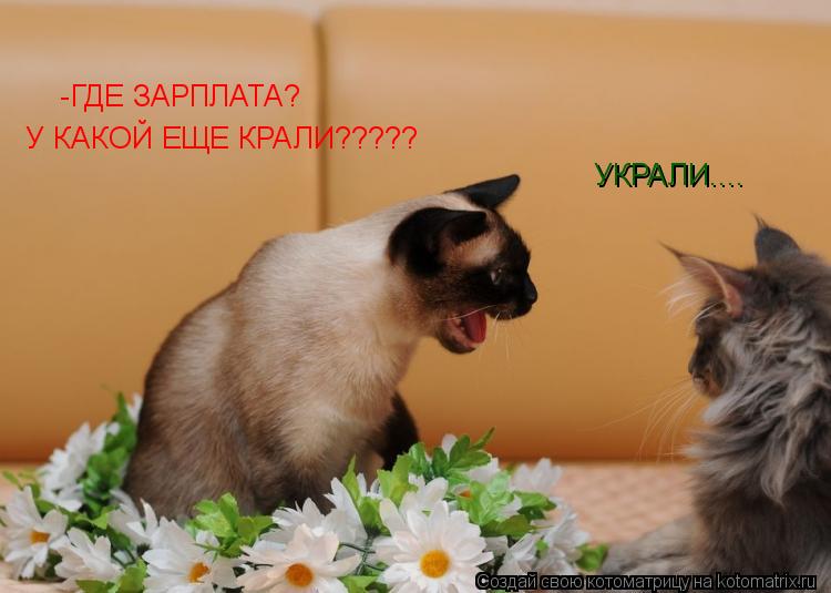-ГДЕ ЗАРПЛАТА? УКРАЛИ.... У КАКОЙ ЕЩЕ КРАЛИ?????... Котоматрица: -ГДЕ ЗАРПЛАТА? УКРАЛИ.... У КАКОЙ ЕЩЕ КРАЛИ?????