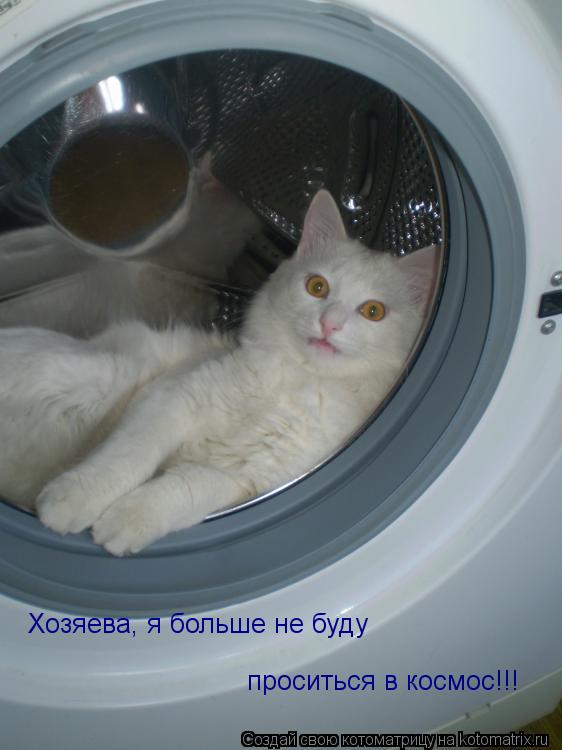 Хозяева, я больше не буду проситься в космос!!!... Котоматрица: Хозяева, я больше не буду проситься в космос!!!