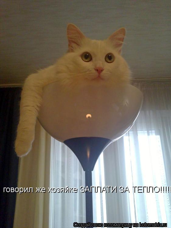говорил же хозяйке ЗАПЛАТИ ЗА ТЕПЛО!!!!!!!!!! говорил же хозяйке ЗАПЛАТИ ЗА ТЕПЛО!!!!!!!!!!... Котоматрица: говорил же хозяйке ЗАПЛАТИ ЗА ТЕПЛО!!!!!!!!!! говорил же хозяйке ЗАПЛАТИ ЗА ТЕПЛО!!!!!!!!!!