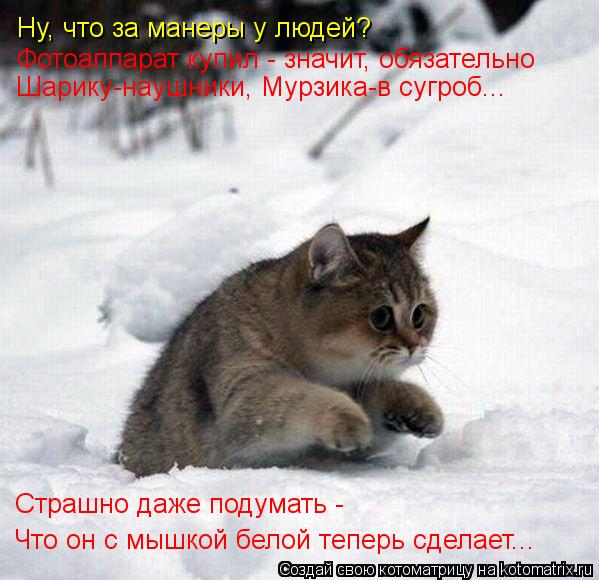 Ну, что за манеры у людей? Фотоаппарат купил - значит, обязательно Шарику-наушники, Мурзика-в сугроб.... Котоматрица: Ну, что за манеры у людей? Фотоаппарат купил - значит, обязательно Шарику-наушники, Мурзика-в сугроб... Страшно даже подумать - Что он с мышкой