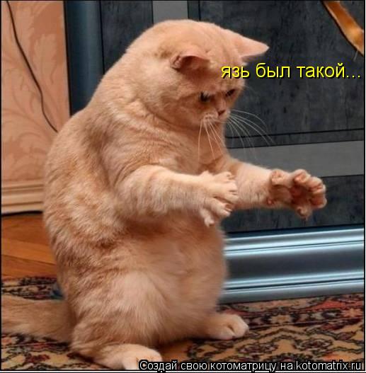 язь был такой...... Котоматрица: язь был такой...