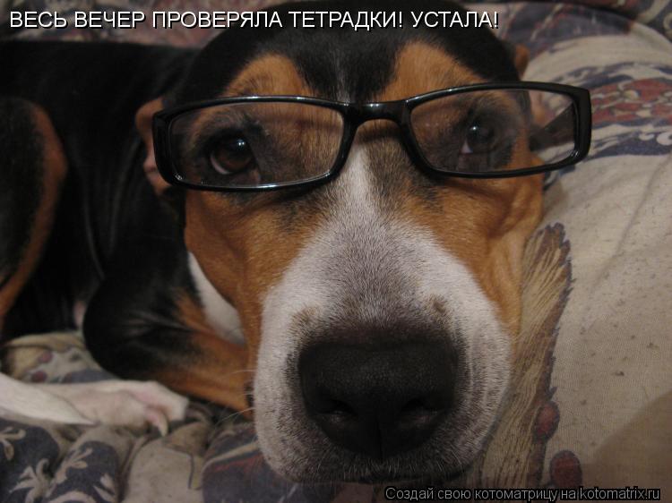 ВЕСЬ ВЕЧЕР ПРОВЕРЯЛА ТЕТРАДКИ! УСТАЛА!... Котоматрица: ВЕСЬ ВЕЧЕР ПРОВЕРЯЛА ТЕТРАДКИ! УСТАЛА!