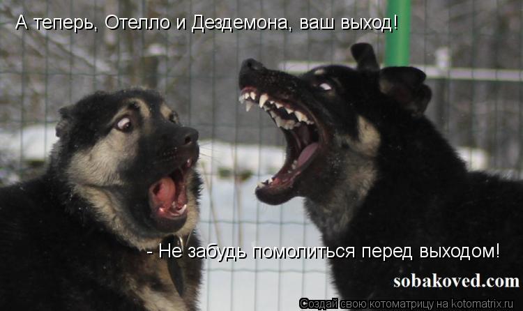 А теперь, Отелло и Дездемона, ваш выход! - Не забудь помолиться перед выходом!... Котоматрица: А теперь, Отелло и Дездемона, ваш выход! - Не забудь помолиться перед выходом!
