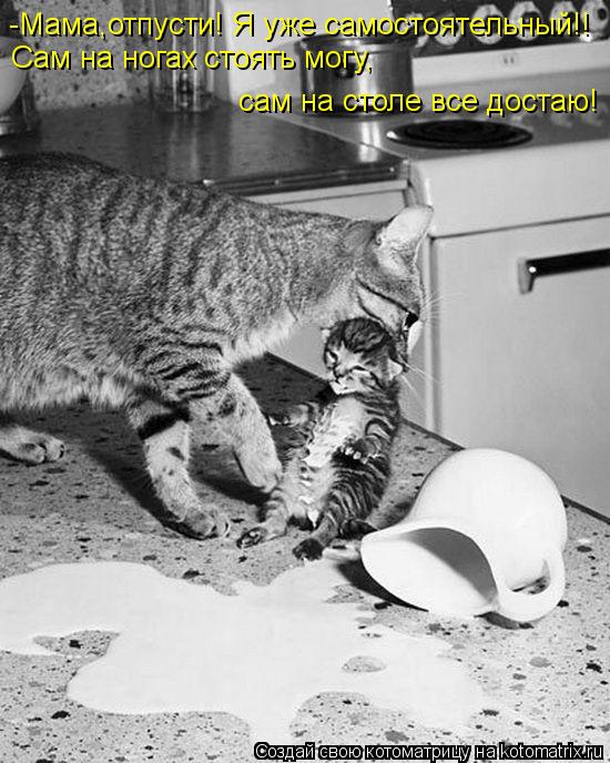 -Мама,отпусти! Я уже самостоятельный!! Сам на ногах стоять могу, сам на столе все достаю!... Котоматрица: -Мама,отпусти! Я уже самостоятельный!! Сам на ногах стоять могу, сам на столе все достаю!