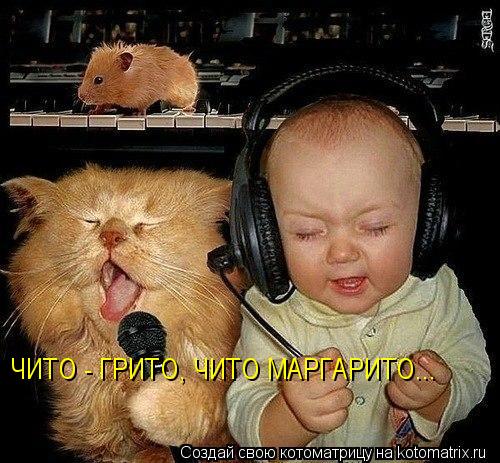ЧИТО - ГРИТО, ЧИТО МАРГАРИТО...... Котоматрица: ЧИТО - ГРИТО, ЧИТО МАРГАРИТО...