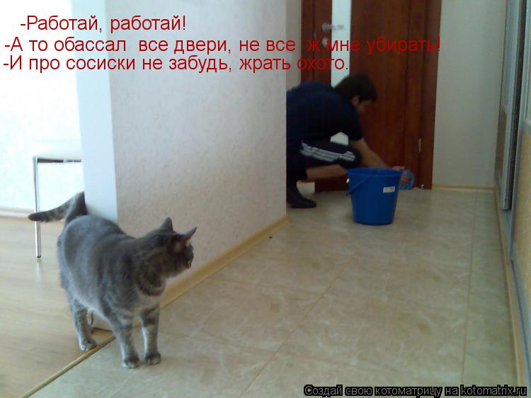 -Работай, работай! -Работай, работай! -А то обассал все двери, не все ж мне убирать! -И про сосиски... Котоматрица: -Работай, работай! -Работай, работай! -А то обассал все двери, не все ж мне убирать! -И про сосиски не забудь, жрать охото.