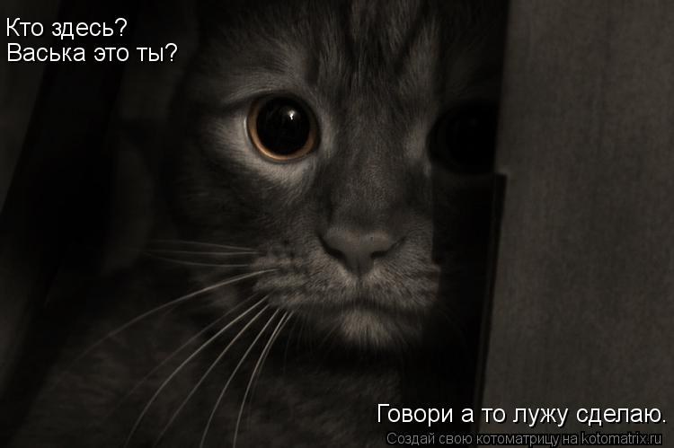 Кто здесь? Васька это ты? Говори а то лужу сделаю.... Котоматрица: Кто здесь? Васька это ты? Говори а то лужу сделаю.