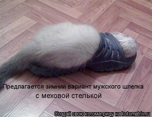 Предлагается зимний вариант мужского шлепка с меховой стелькой... Котоматрица: Предлагается зимний вариант мужского шлепка с меховой стелькой