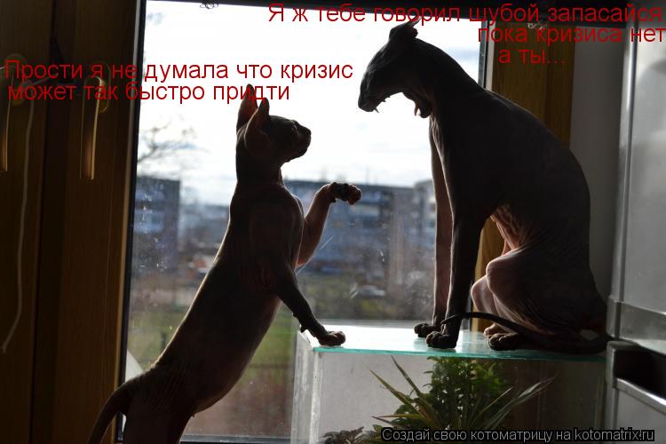 Я ж тебе говорил шубой запасайся пока кризиса нет а ты... Прости я не думала что кризис может так быс... Котоматрица: Я ж тебе говорил шубой запасайся пока кризиса нет а ты... Прости я не думала что кризис может так быстро придти