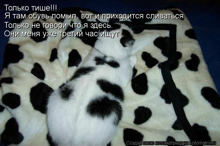 Только тише!!! Я там обувь помыл, вот и приходится сливаться Только не говори что я здесь. Они меня у... Котоматрица: Только тише!!! Я там обувь помыл, вот и приходится сливаться Только не говори что я здесь. Они меня уже третий час ищут