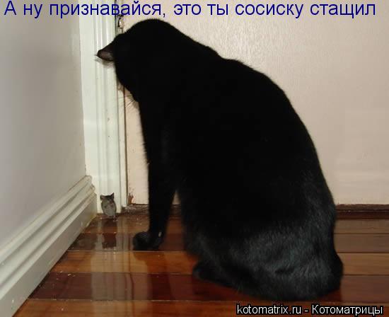 А ну признавайся, это ты сосиску стащил... Котоматрица: А ну признавайся, это ты сосиску стащил
