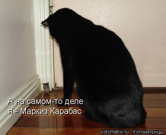 А на самом-то деле я - Маркиз Карабас... Котоматрица: А на самом-то деле я - Маркиз Карабас