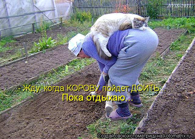 - Жду, когда КОРОВУ пойдет ДОИТЬ... Пока отдыхаю...... Котоматрица: - Жду, когда КОРОВУ пойдет ДОИТЬ... Пока отдыхаю...