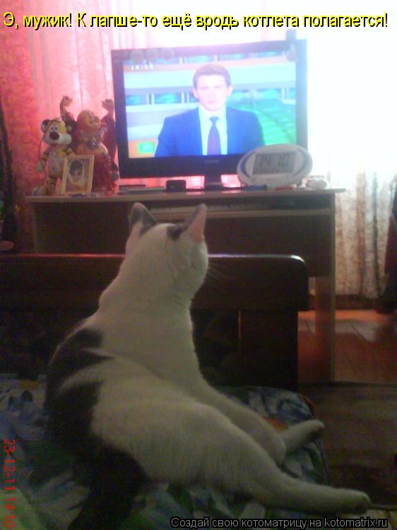 Э, мужик! К лапше-то ещё вродь котлета полагается!... Котоматрица: Э, мужик! К лапше-то ещё вродь котлета полагается!