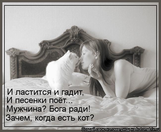 И ластится и гадит, И песенки поёт... Мужчина? Бога ради! Зачем, когда есть кот?... Котоматрица: И ластится и гадит, И песенки поёт... Мужчина? Бога ради! Зачем, когда есть кот?