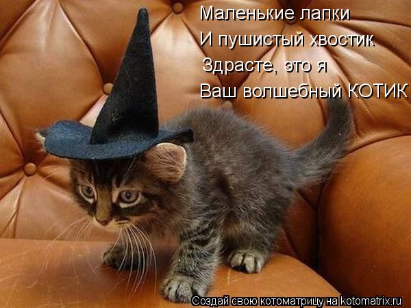 Маленькие лапки И пушистый хвостик Здрасте, это я Ваш волшебный КОТИК... Котоматрица: Маленькие лапки И пушистый хвостик Здрасте, это я Ваш волшебный КОТИК