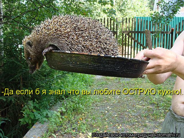 -Да если б я знал что вы любите ОСТРУЮ кухню!..... Котоматрица: -Да если б я знал что вы любите ОСТРУЮ кухню!..