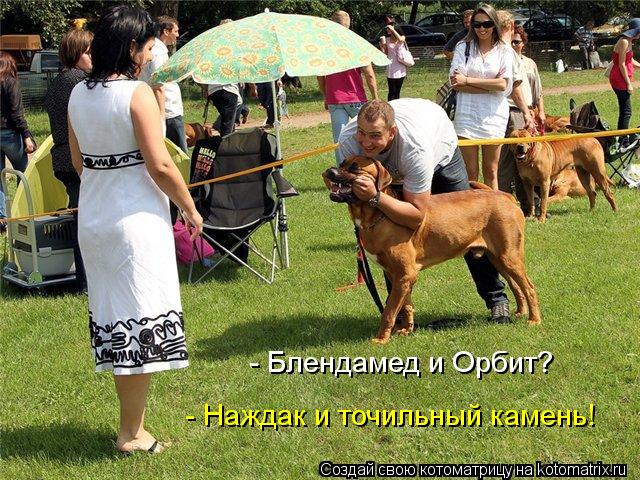 - Блендамед и Орбит? - Наждак и точильный камень!... Котоматрица: - Блендамед и Орбит? - Наждак и точильный камень!
