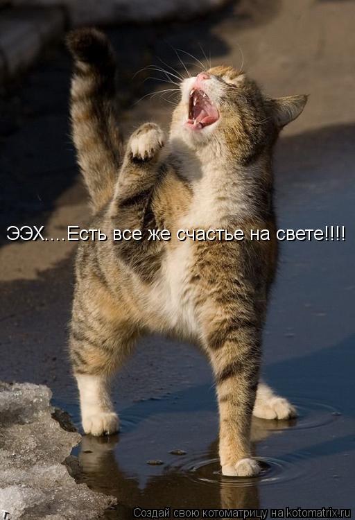 ЭЭХ....Есть все же счастье на свете!!!!... Котоматрица: ЭЭХ....Есть все же счастье на свете!!!!