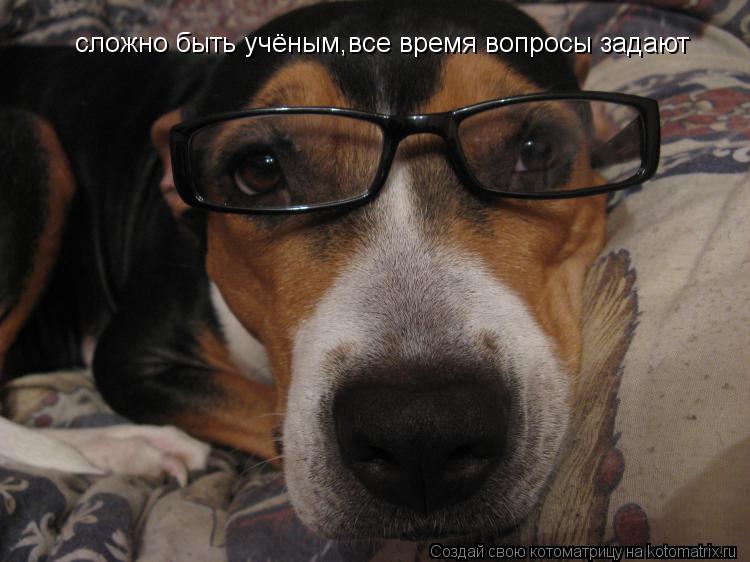 сложно быть учёным,все время вопросы задают... Котоматрица: сложно быть учёным,все время вопросы задают