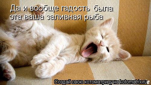 Да и вообще гадость эта ваша заливная рыба была... Котоматрица: Да и вообще гадость эта ваша заливная рыба была