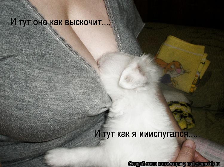 И тут оно как выскочит.... И тут как я иииспугался........ Котоматрица: И тут оно как выскочит.... И тут как я иииспугался.....