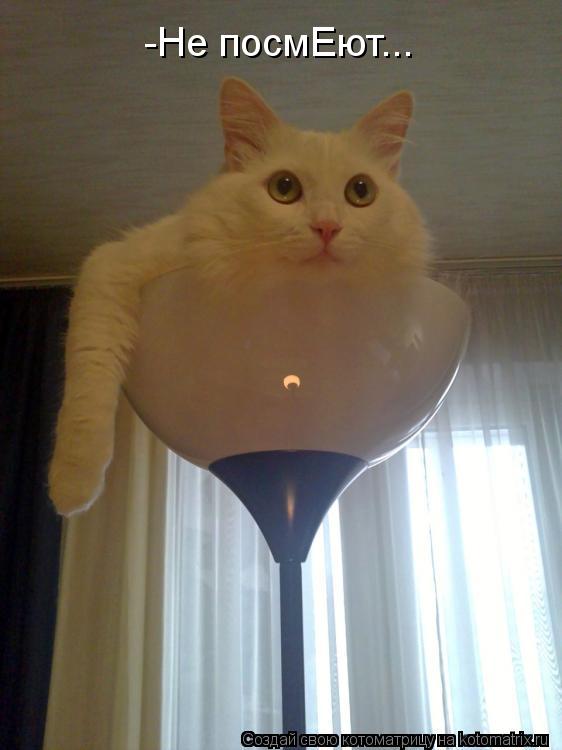 -Не посмЕют...... Котоматрица: -Не посмЕют...