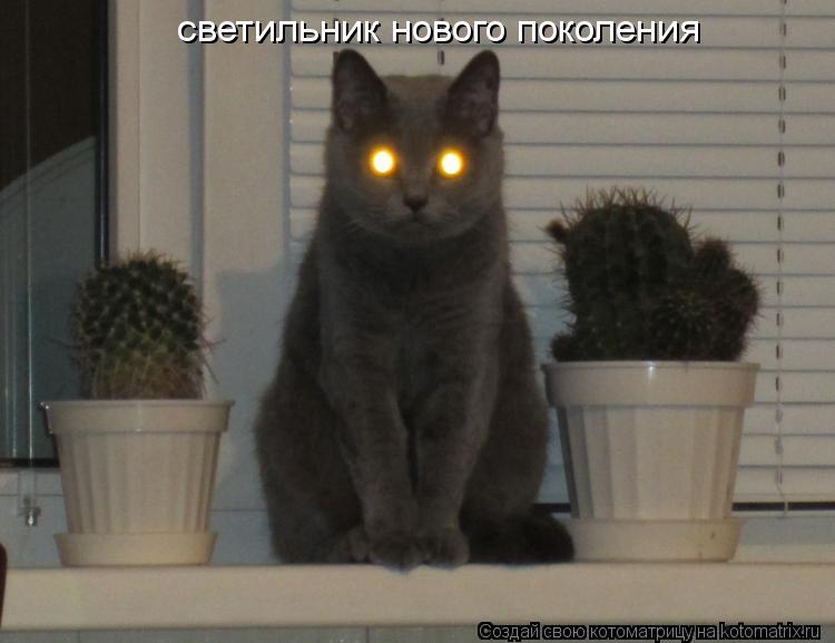 светильник нового поколения... Котоматрица: светильник нового поколения