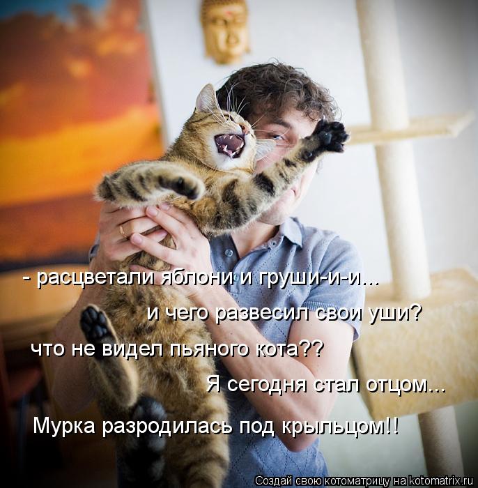 - расцветали яблони и груши-и-и... и чего развесил свои уши? что не видел пьяного кота?? Я сегодня ст... Котоматрица: - расцветали яблони и груши-и-и... и чего развесил свои уши? что не видел пьяного кота?? Я сегодня стал отцом... Мурка разродилась под крыльцом!!