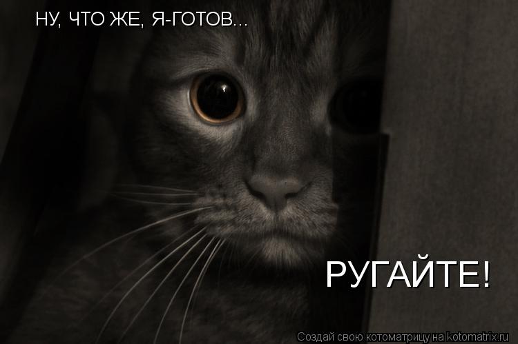 НУ, ЧТО ЖЕ, Я-ГОТОВ... РУГАЙТЕ!... Котоматрица: НУ, ЧТО ЖЕ, Я-ГОТОВ... РУГАЙТЕ!