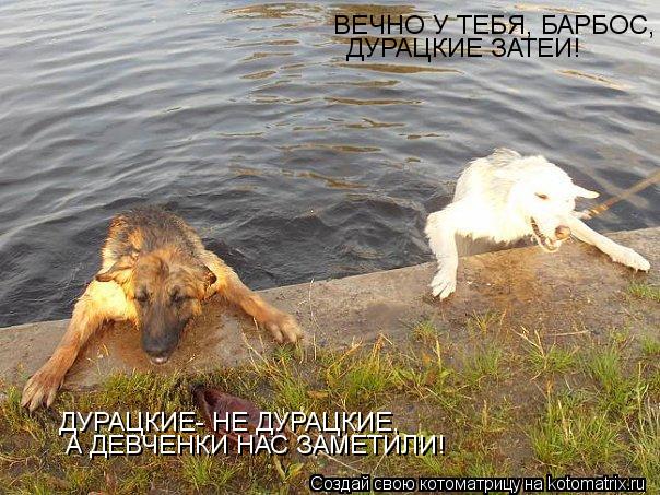 ВЕЧНО У ТЕБЯ, БАРБОС, ДУРАЦКИЕ ЗАТЕИ! ДУРАЦКИЕ- НЕ ДУРАЦКИЕ, А ДЕВЧЕНКИ НАС ЗАМЕТИЛИ!... Котоматрица: ВЕЧНО У ТЕБЯ, БАРБОС, ДУРАЦКИЕ ЗАТЕИ! ДУРАЦКИЕ- НЕ ДУРАЦКИЕ, А ДЕВЧЕНКИ НАС ЗАМЕТИЛИ!