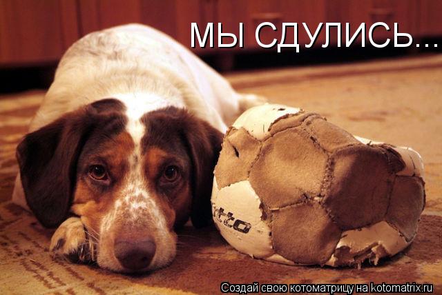 МЫ СДУЛИСЬ...... Котоматрица: МЫ СДУЛИСЬ...