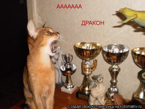 ААААААА ДРАКОН... Котоматрица: ААААААА ДРАКОН