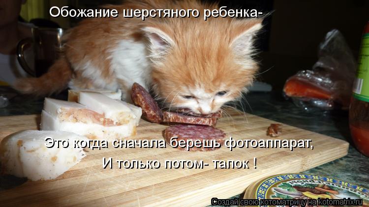 Обожание шерстяного ребенка- Это когда сначала берешь фотоаппарат, И только потом- тапок !... Котоматрица: Обожание шерстяного ребенка- Это когда сначала берешь фотоаппарат, И только потом- тапок !