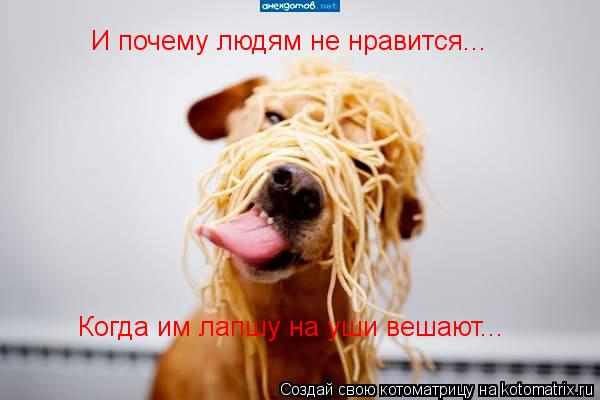 И почему людям не нравится... Когда им лапшу на уши вешают...... Котоматрица: И почему людям не нравится... Когда им лапшу на уши вешают...
