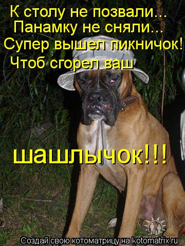 К столу не позвали... Панамку не сняли... Супер вышел пикничок! Чтоб сгорел ваш шашлычок!!!... Котоматрица: К столу не позвали... Панамку не сняли... Супер вышел пикничок! Чтоб сгорел ваш шашлычок!!!