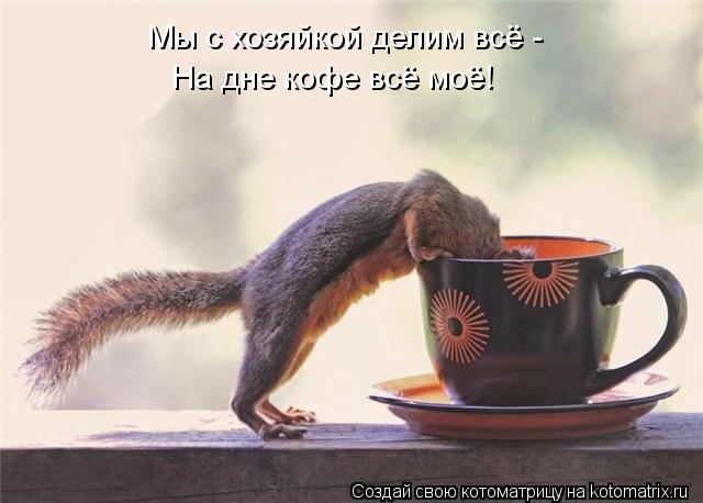 Мы с хозяйкой делим всё - На дне кофе всё моё!... Котоматрица: Мы с хозяйкой делим всё - На дне кофе всё моё!
