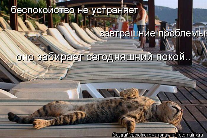 беспокойство не устраняет завтрашние проблемы оно забирает сегодняшний покой..... Котоматрица: беспокойство не устраняет завтрашние проблемы оно забирает сегодняшний покой..