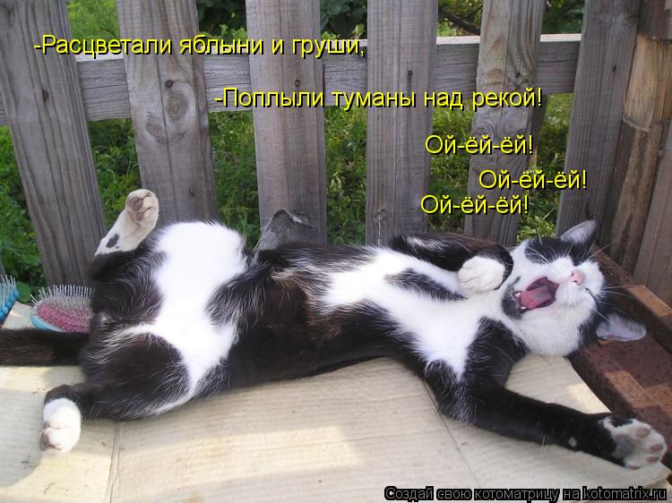 -Расцветали яблыни и груши, -Поплыли туманы над рекой! Ой-ёй-ёй! Ой-ёй-ёй! Ой-ёй-ёй!... Котоматрица: -Расцветали яблыни и груши, -Поплыли туманы над рекой! Ой-ёй-ёй! Ой-ёй-ёй! Ой-ёй-ёй!