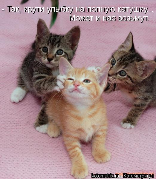 Котоматрица: - Так, крути улыбку на полную катушку... Может и нас возьмут.
