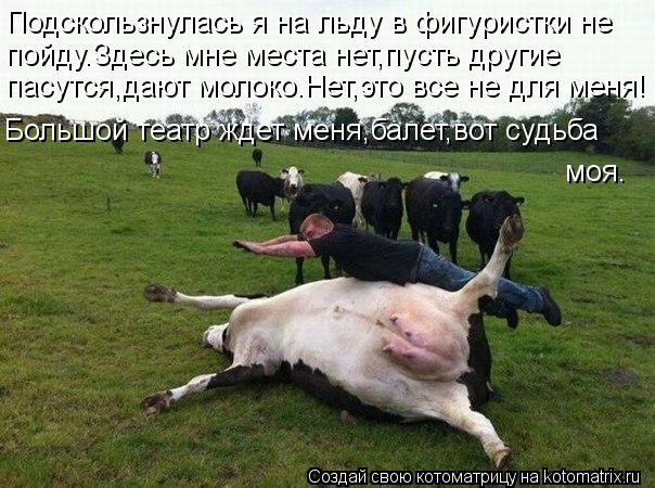 Подскользнулась я на льду в фигуристки не пойду.Здесь мне места нет,пусть другие пасутся,дают молоко... Котоматрица: Подскользнулась я на льду в фигуристки не пойду.Здесь мне места нет,пусть другие пасутся,дают молоко.Нет,это все не для меня! Большой театр