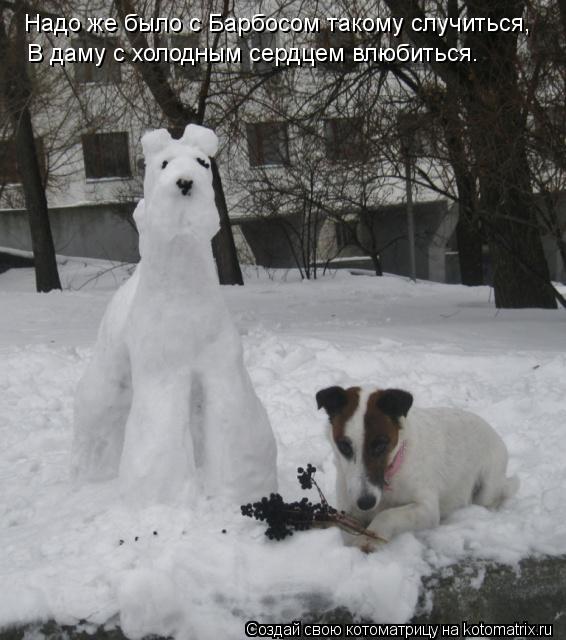 Надо же было с Барбосом такому случиться, В даму с холодным сердцем влюбиться.... Котоматрица: Надо же было с Барбосом такому случиться, В даму с холодным сердцем влюбиться.