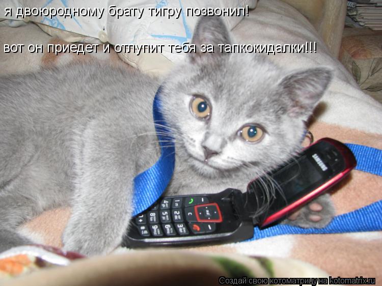 я двоюродному брату тигру позвонил! вот он приедет и отлупит тебя за тапкокидалки!!!... Котоматрица: я двоюродному брату тигру позвонил! вот он приедет и отлупит тебя за тапкокидалки!!!