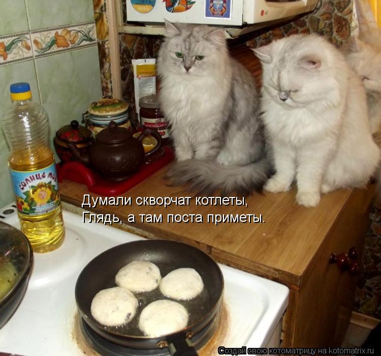 Думали скворчат котлеты, Глядь, а там поста приметы.... Котоматрица: Думали скворчат котлеты, Глядь, а там поста приметы.