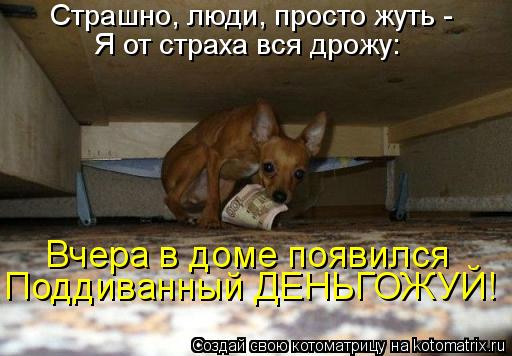 Страшно, люди, просто жуть - Я от страха вся дрожу: Вчера в доме появился Поддиванный ДЕНЬГОЖУЙ!... Котоматрица: Страшно, люди, просто жуть - Я от страха вся дрожу: Вчера в доме появился Поддиванный ДЕНЬГОЖУЙ!